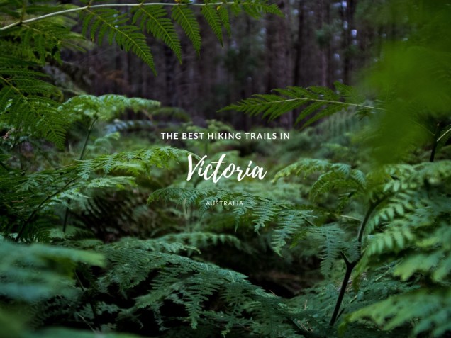 The Best Hiking Trails in Victoria, Australia